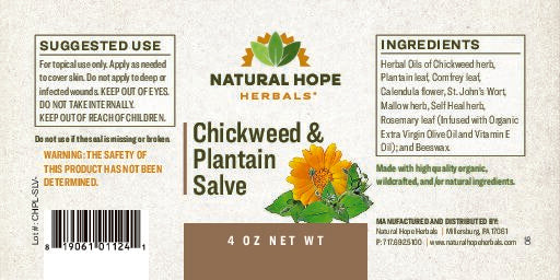 Natural Hope Herbals Chickweed & Plantain salve 4oz