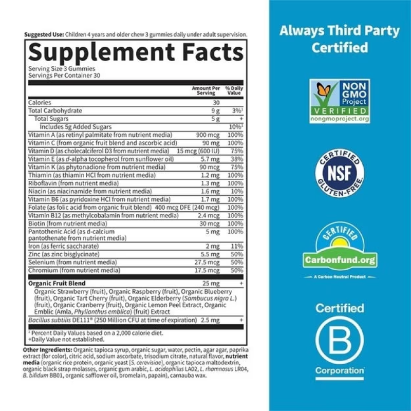 Garden of Life - Vitamin Code Kids Multi Plus Iron Gummies - 90 Gummies