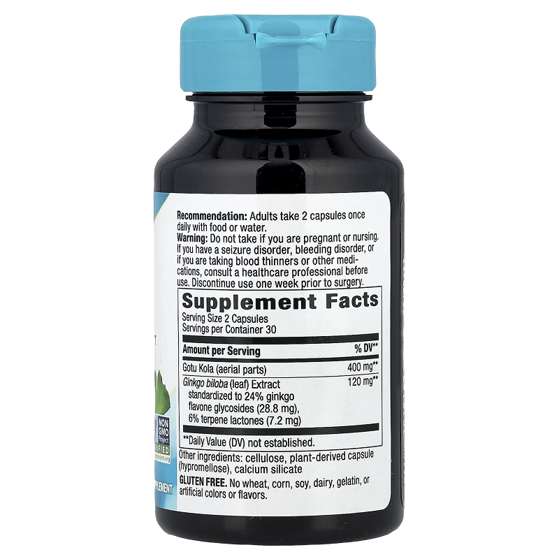 Nature's Way - Ginkgo Premium Extract- 60 VCaps