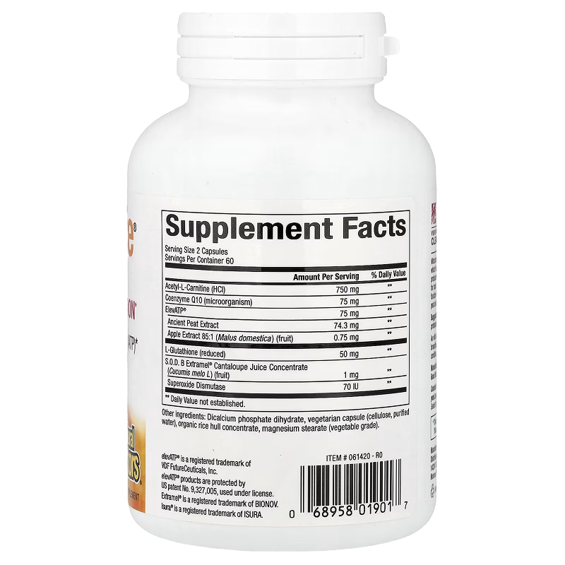 Natural Factors - RegenerLife ATP Function - 120caps.