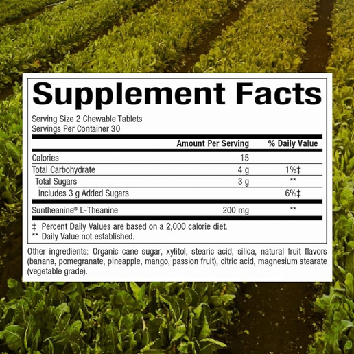 Natural Factors - Stress-Relax Suntheanine - 60 Chewable Tablets