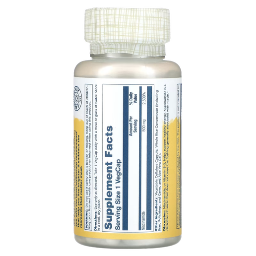 Solaray - Niacinamide w/Aloe Vera - 100 caps