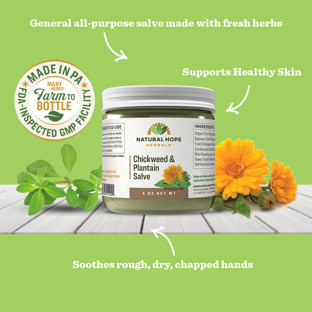 Natural Hope Herbals Chickweed & Plantain salve 4oz