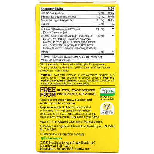 Nature's Way - Alive! Prenatal Multivitamin - 60 softgels