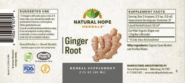 Natural Hope Herbals Ginger root 2floz extract