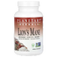 Planetary Herbals - Lions Mane - 90 capsules
