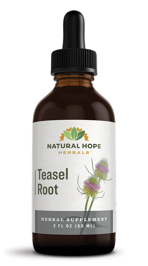 Natural Hope Herbals Teasel root 2floz extract