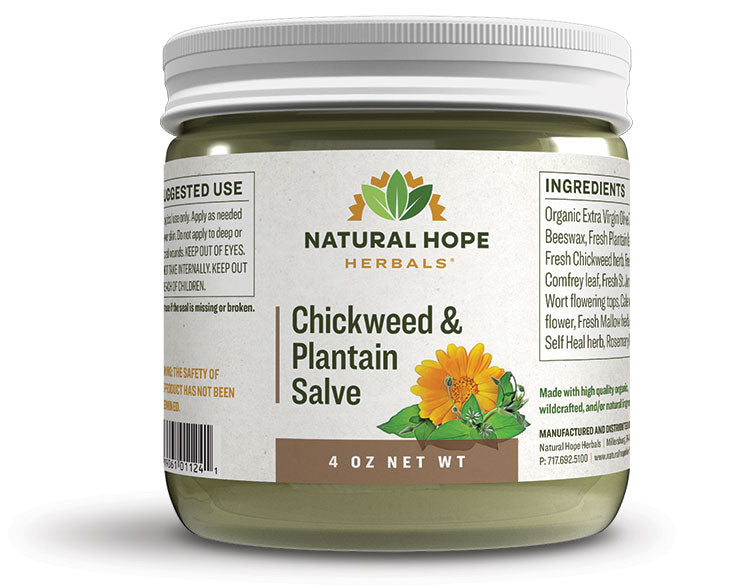 Natural Hope Herbals Chickweed & Plantain salve 4oz