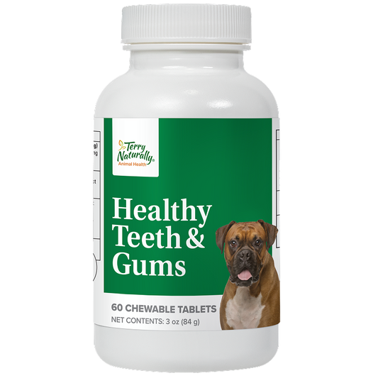 Terry Naturally - Healthy teeth & gums for dogs - 60 chewables