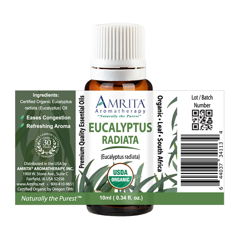 Amrita - Eucalyptus Radiata - 10ml
