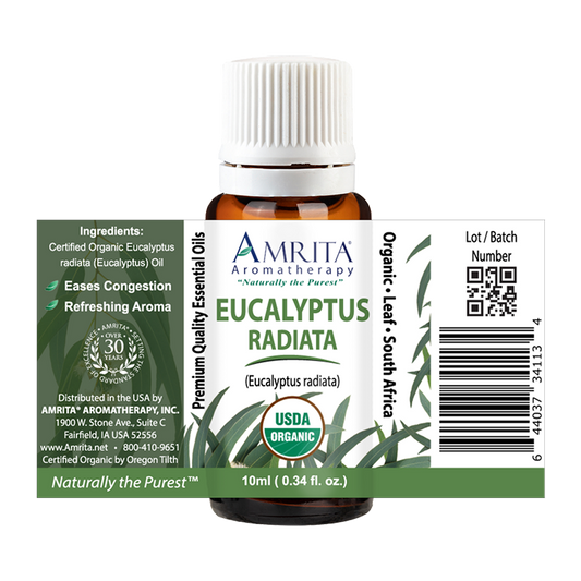 Amrita - Eucalyptus Radiata - 10ml