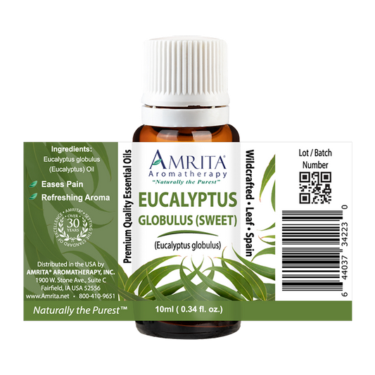 Amrita - Eucalyptus Globulus (sweet) - 10ml