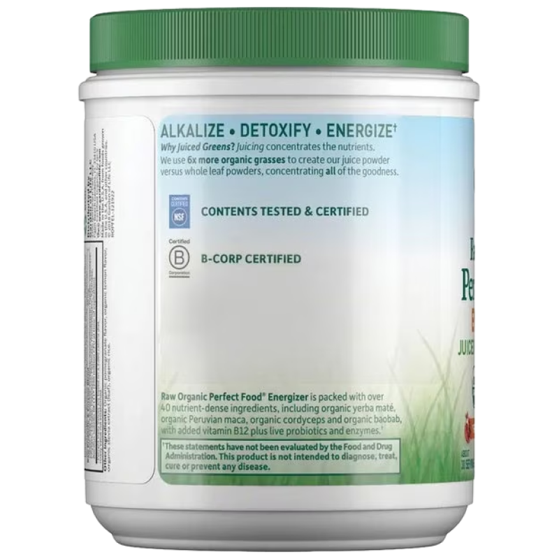 Garden of Life - Raw Organic Perfect Food Energizer - Yerba Mate Pomegranate - 9.73 oz