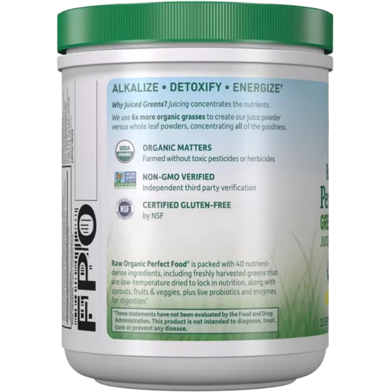 Garden of Life - Raw Organic Perfect Food Green Superfood - Original Powder - 7.3 oz