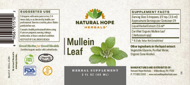 Natural Hope Herbals - Mullein Leaf - 2 fl oz