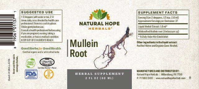 Natural Hope Herbals Mullein root extract 2 fl oz